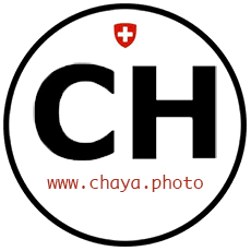 CHaya logo 230x230