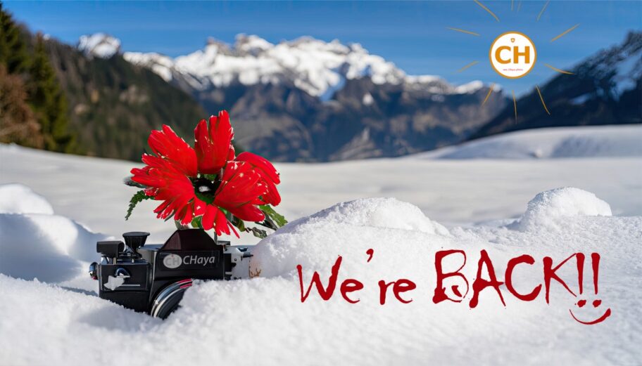 a camera partially covered in snow, unmelting and with a flower blossoming out of it.