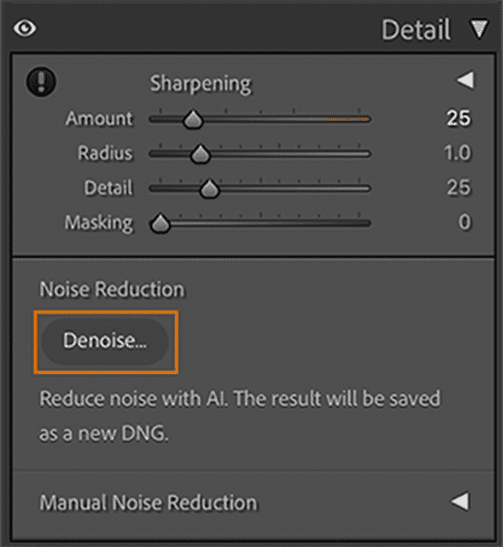 Screenshot from Lightroom's new denoise tool